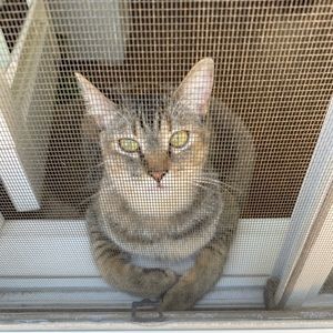 Meet your Posher, Luke